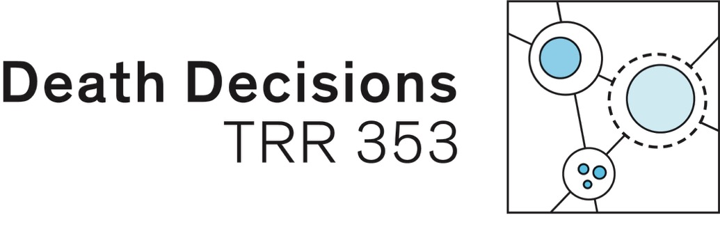 trr353 logo.jpg